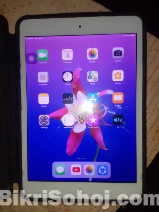 Apple Ipad Mini 2